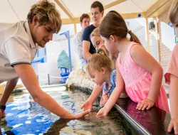 The Aquarium of Western Australia (AQWA) Tickets